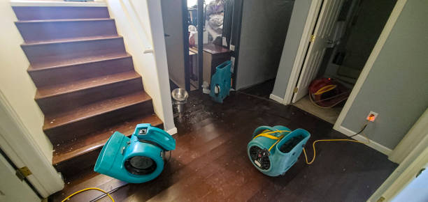 Best Flooded house restoration  in Plano, TX