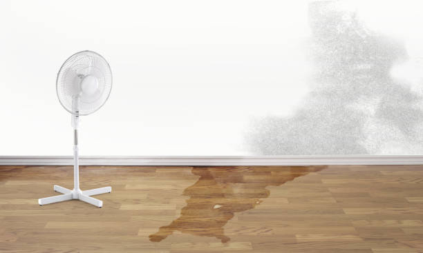 Best Sewage cleanup and water damage restoration  in Plano, TX