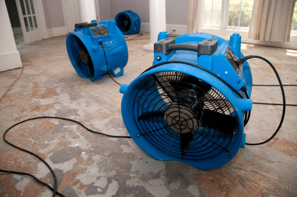 Best 24/7 water damage repair  in Plano, TX