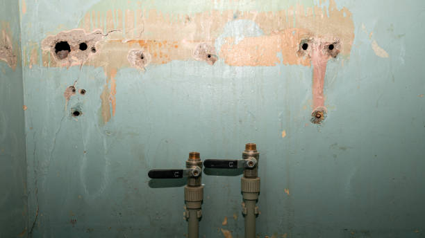 Best Professional water damage repair  in Plano, TX