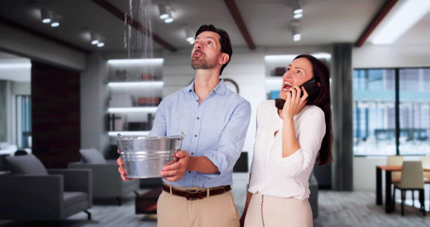 Best Ceiling water damage repair  in Plano, TX