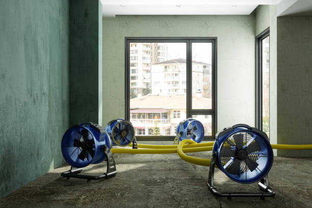 Best 24-hour water damage restoration  in Plano, TX